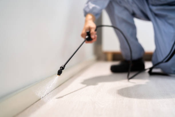 Licensed Termite Control service in Kaufman, TX - Nex Pest Control