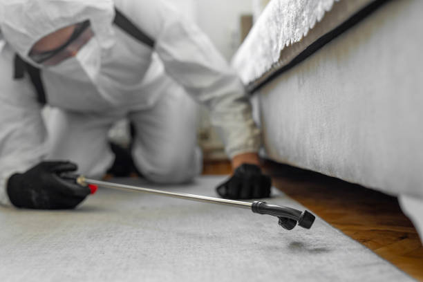 Professional Termite Control technician working in Kaufman, TX
