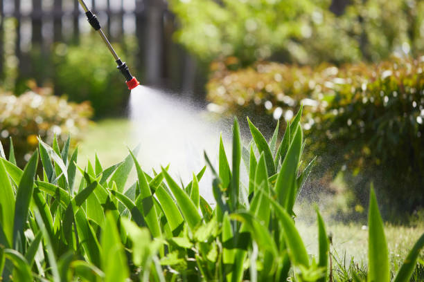 24/7 Emergency Termite Control experts in Kaufman, TX