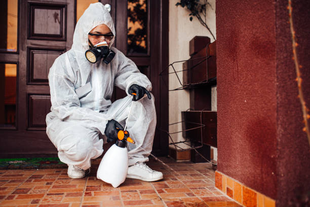 Reliable Termite Control contractor in Kaufman, TX by Nex Pest Control