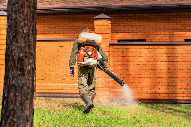 Top rated local Termite Control specialists in Kaufman, TX